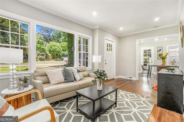 living room featuring ornamental molding and hardwood / wood-style flooring