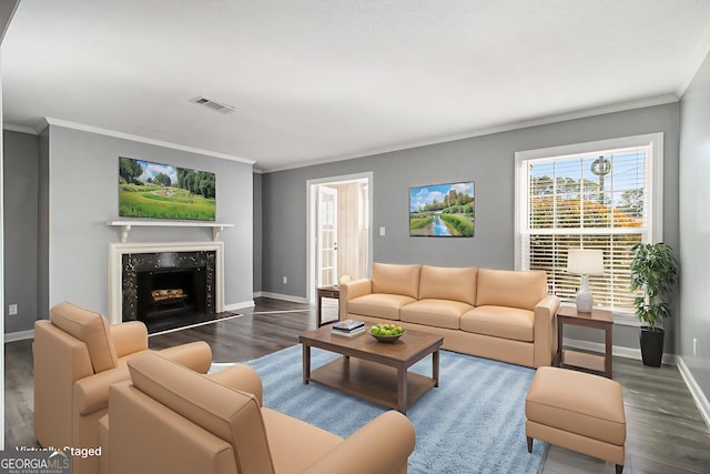 113 Rue Fontaine Unit 113, Lithonia, GA 30038 - living area featuring wood finished floors, crown molding, baseboards, and a premium fireplace