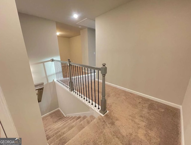 staircase with carpet floors