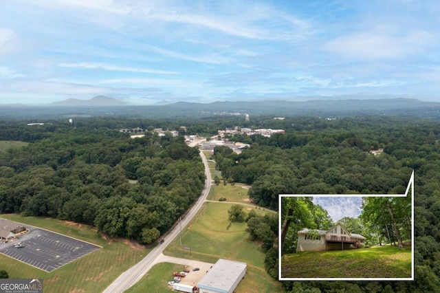 drone / aerial view featuring a mountain view