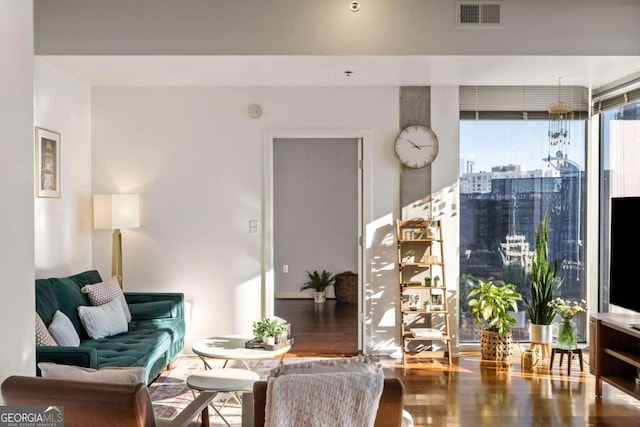 living room featuring wood-type flooring