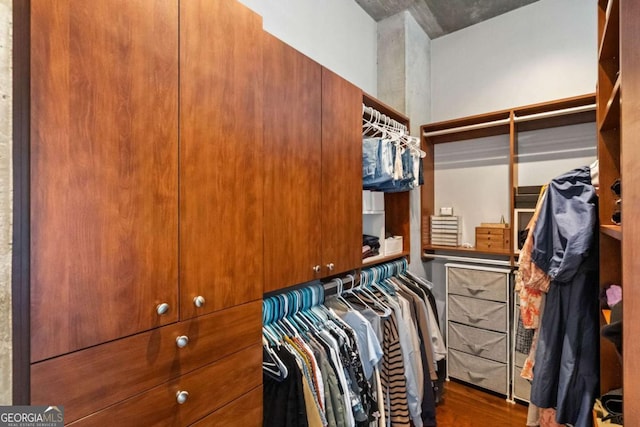 walk in closet with dark hardwood / wood-style floors