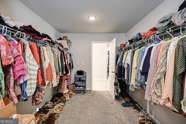 walk in closet featuring carpet floors