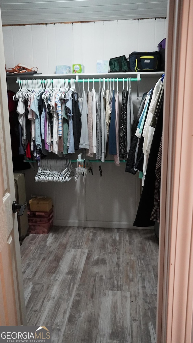 spacious closet with wood-type flooring