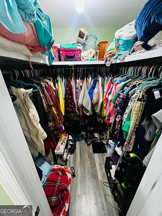 walk in closet featuring wood-type flooring