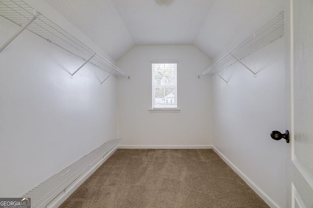 walk in closet with lofted ceiling and carpet