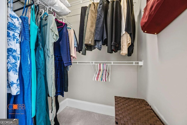 walk in closet featuring carpet