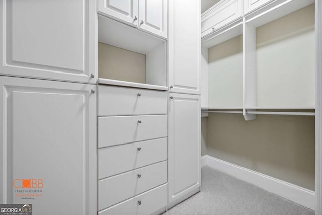 spacious closet with carpet floors