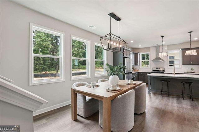 dining area featuring a wealth of natural light, dark hardwood / wood-style floors, and sink