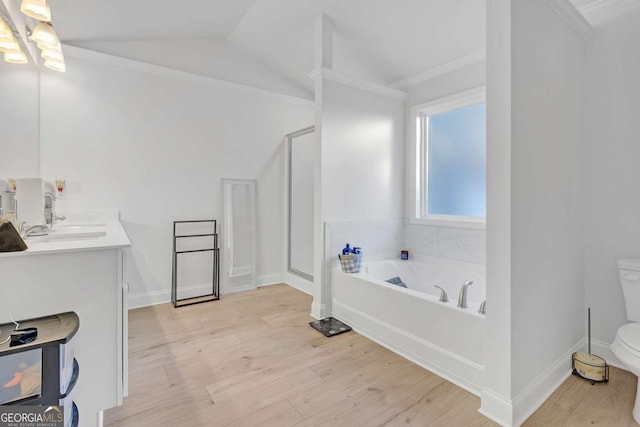 full bathroom with toilet, lofted ceiling, separate shower and tub, and vanity