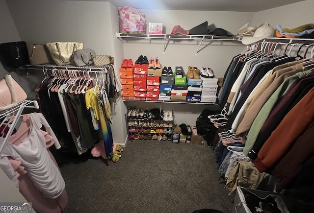 spacious closet featuring carpet floors