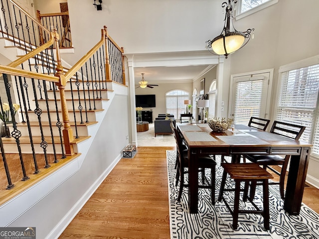 dining area featuring ceiling fan, a healthy amount of sunlight, hardwood / wood-style floors, and crown molding