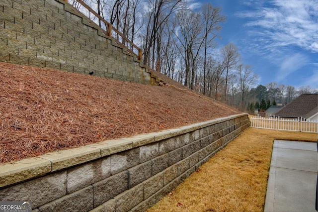 view of yard featuring a patio area