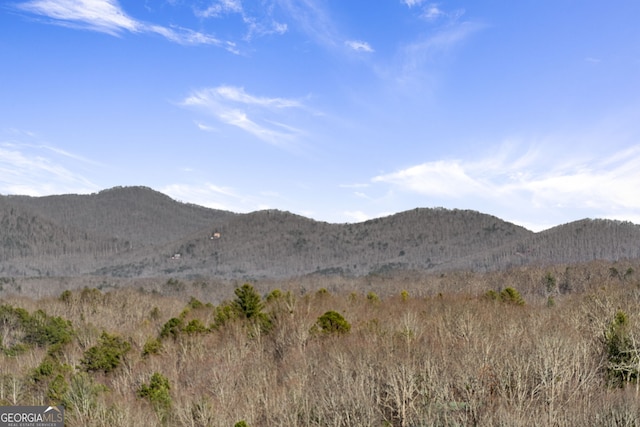 view of mountain feature