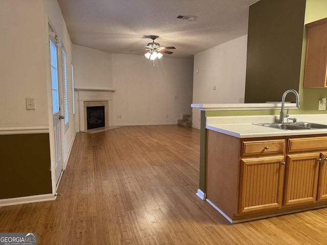 kitchen with sink, ceiling fan, a textured ceiling, and light wood-type flooring