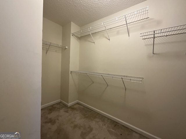 spacious closet with carpet flooring