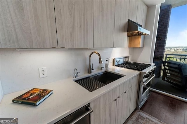 kitchen featuring sink, light brown cabinets, and stainless steel appliances