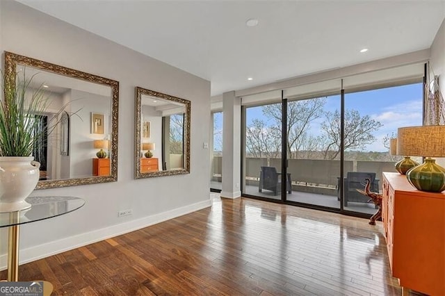 entryway featuring hardwood / wood-style floors and a wealth of natural light