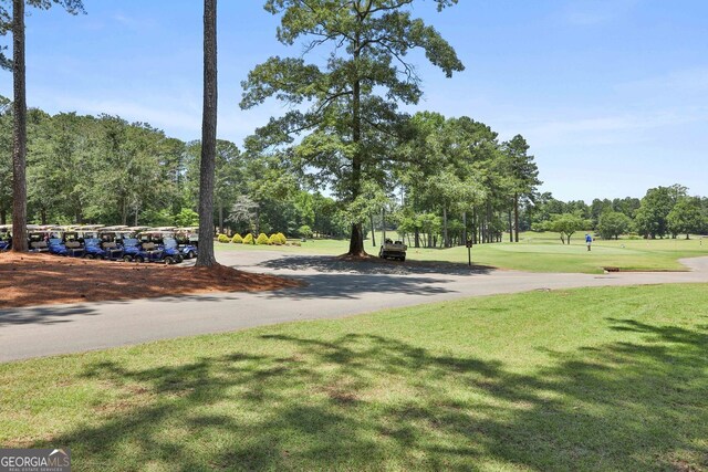 view of community featuring a yard