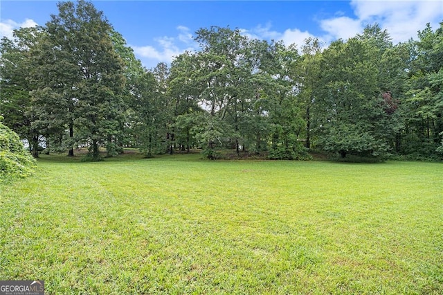 4312 Hollywood Hwy, Clarkesville GA, 30523 land for sale