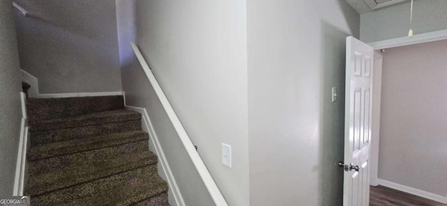 stairway with hardwood / wood-style flooring