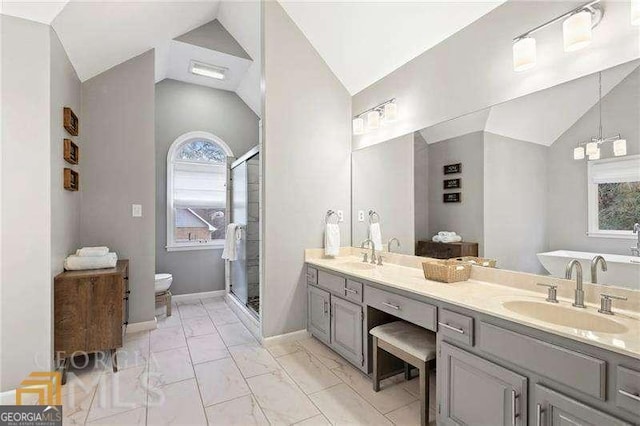 bathroom featuring plenty of natural light, walk in shower, vanity, and vaulted ceiling