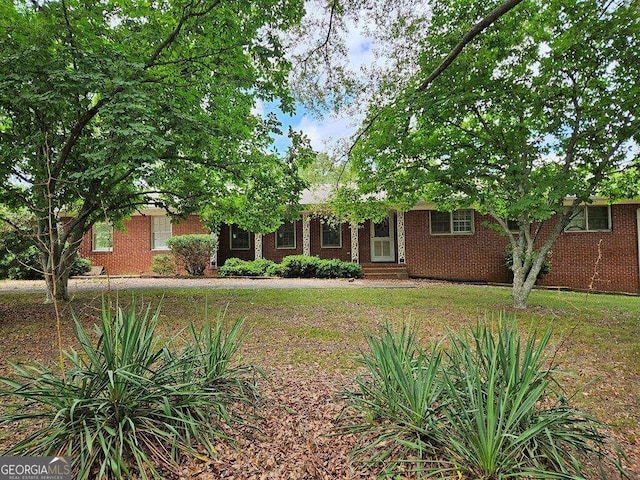 view of front of house with a front lawn