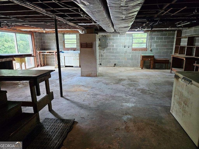 basement with electric panel and plenty of natural light