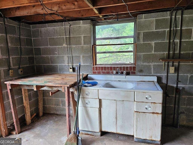 basement featuring sink