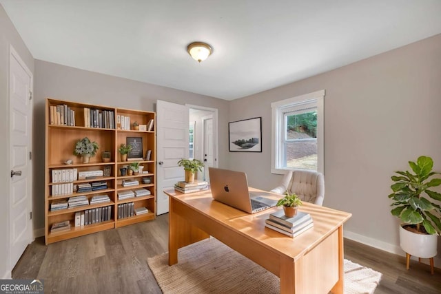 office area featuring dark hardwood / wood-style floors