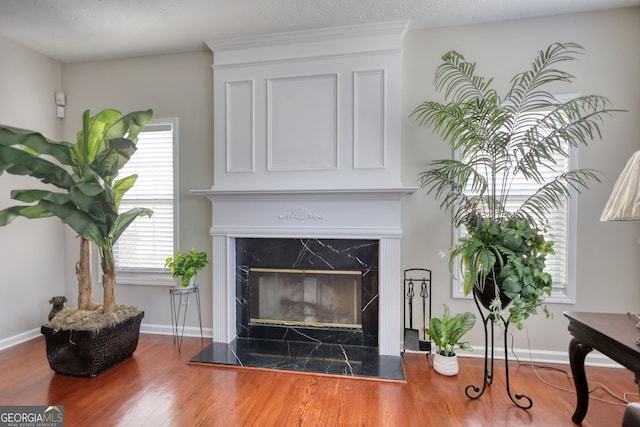 room details with a fireplace and hardwood / wood-style flooring