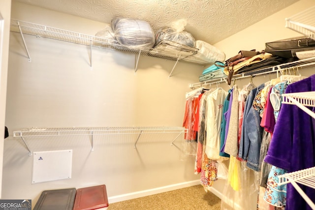 spacious closet featuring carpet floors