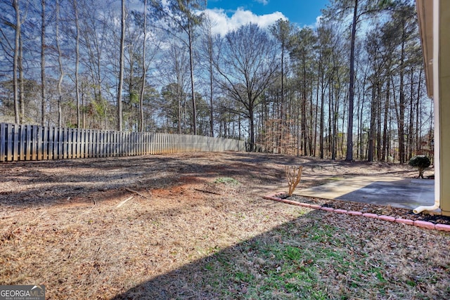 view of yard with a patio area