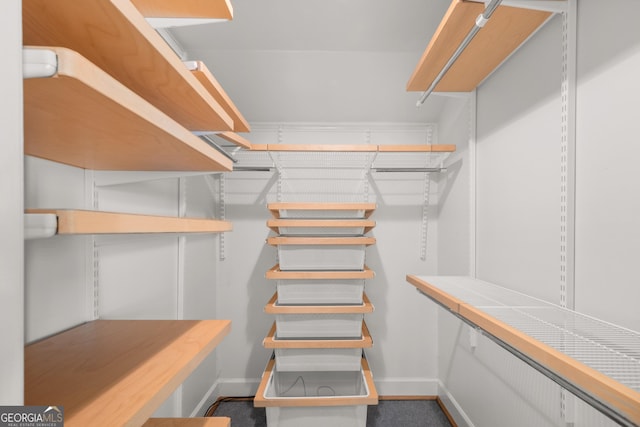 view of spacious closet