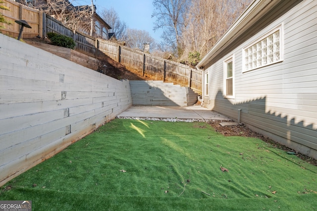 view of yard featuring a patio