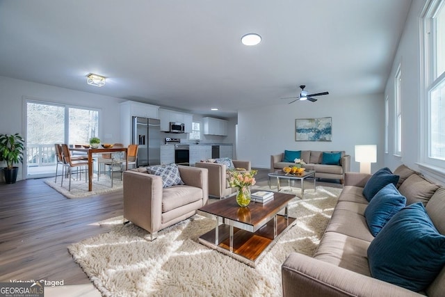 living room with wood-type flooring