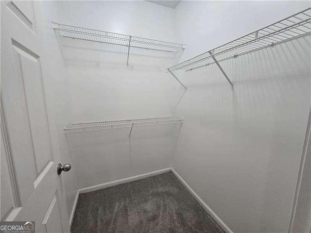 spacious closet featuring dark colored carpet