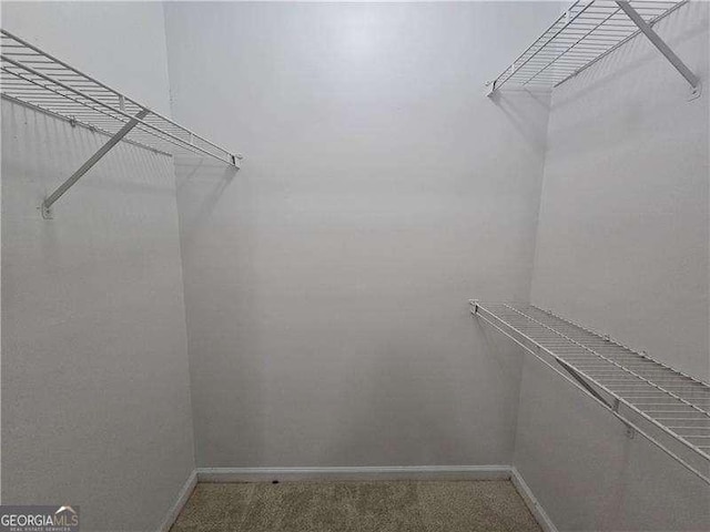 walk in closet with carpet flooring