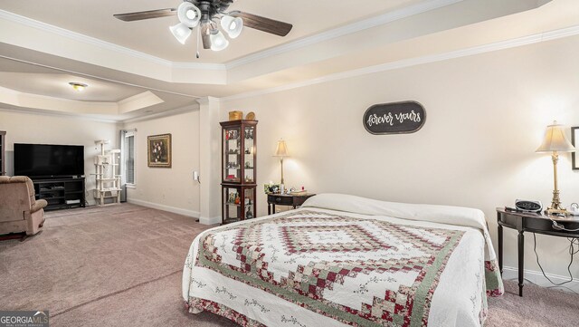 living area featuring crown molding, a raised ceiling, and carpet