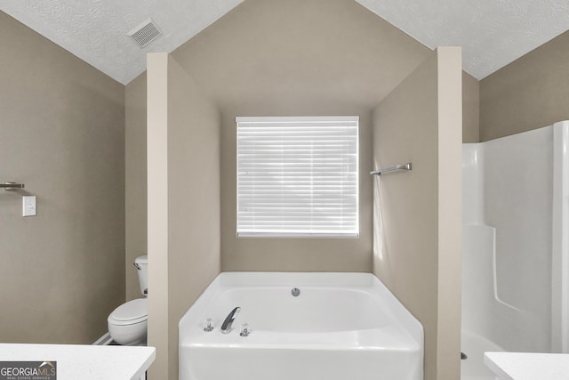 bathroom with toilet, vanity, vaulted ceiling, a textured ceiling, and a washtub