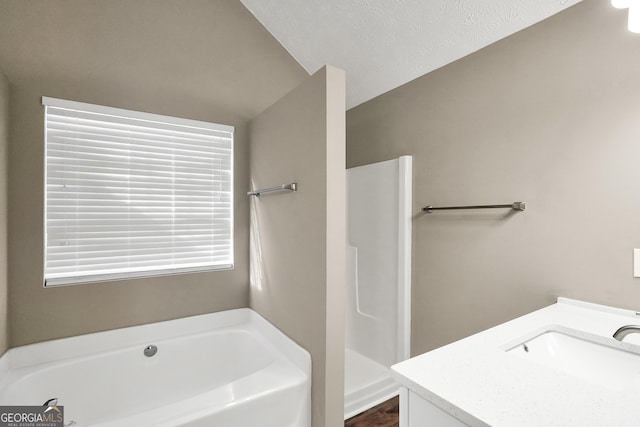 bathroom featuring vanity and a bathing tub