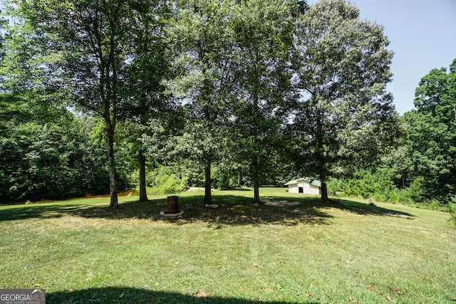 view of yard featuring a storage shed