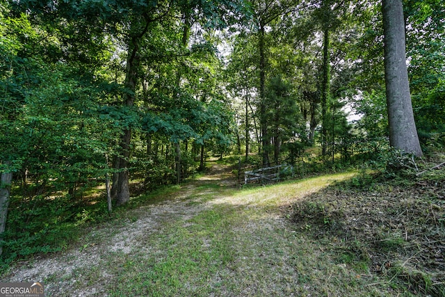 view of local wilderness