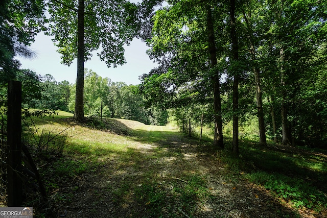 view of local wilderness