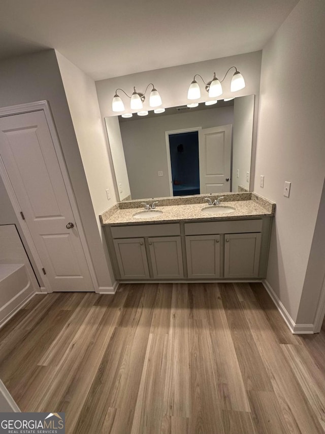 bathroom featuring hardwood / wood-style floors and vanity