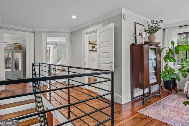 corridor featuring crown molding and wood-type flooring