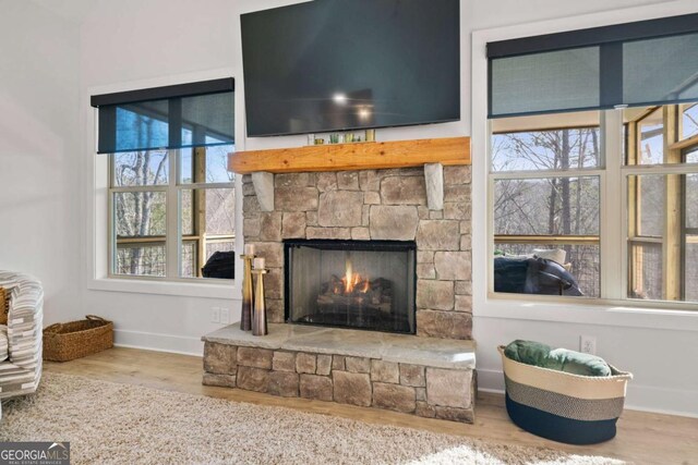 room details featuring a stone fireplace, wood finished floors, and baseboards