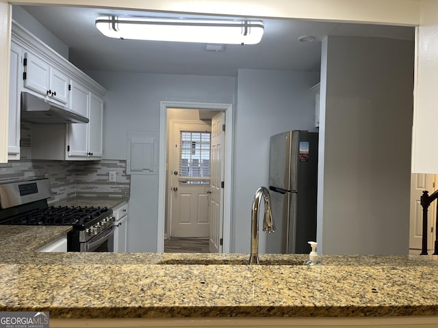 kitchen featuring light stone countertops, under cabinet range hood, a sink, appliances with stainless steel finishes, and decorative backsplash