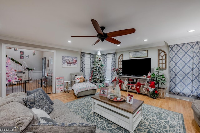 living room with ceiling fan, ornamental molding, and light hardwood / wood-style floors