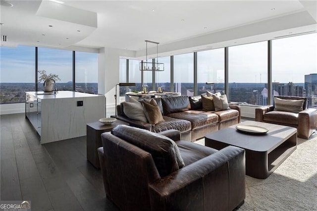 living room featuring dark hardwood / wood-style flooring and sink